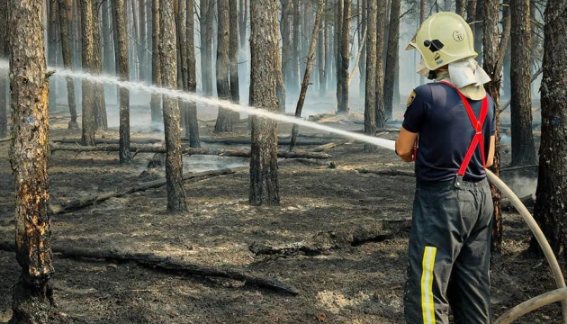 На Київщині триває ліквідація масштабної лісової пожежі