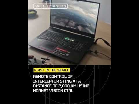 Wild Hornets 2,000 Km thumbnail