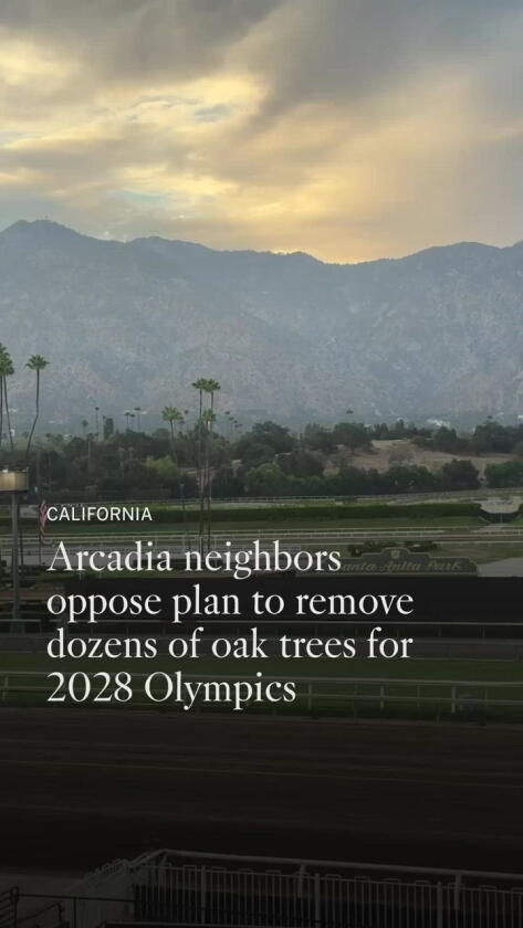 Arcadia neighbors oppose plan to remove dozens of oak trees for 2028 Olympics