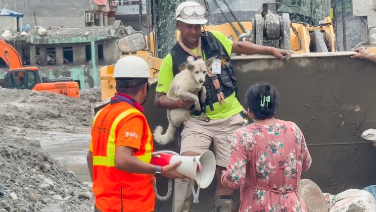 A dog is held by a rescue worker outside