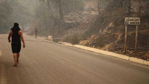 Un homme marche le long d’une route bordant une forêt dévastée par un incendie de forêt à Jijel, en Algérie, jeudi 27 août 2026.