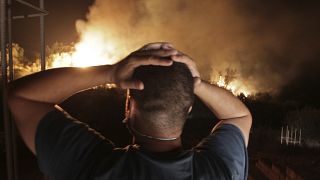 Dozens killed in wildfires in Algeria