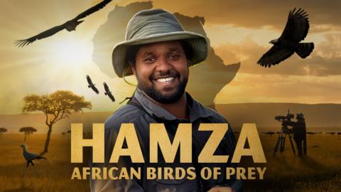 Hamza: African Birds of Prey