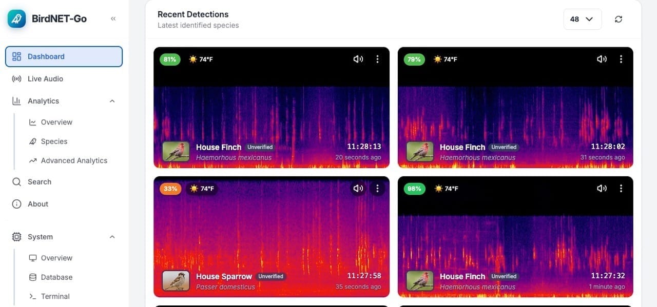 How I Turned My Security Cameras Into an Automatic Bird Identification System with BirdNet-Go Post image
