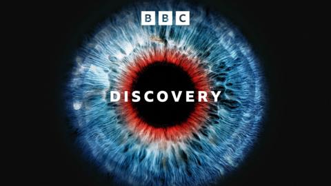Discovery: Women not included 