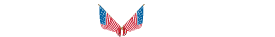 Stars and Stripes