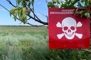 Підрозділи розмінування у серпні очистили майже тисячу гектарів звільнених територій - Міноборони