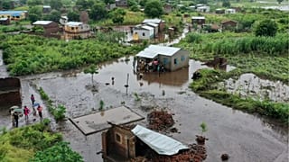 Mozambique: crocodiles appear in towns amid floods 