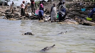 Rising lakes in Kenya force communities to flee as wildlife encounters increase