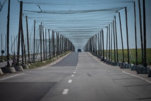 В Україні антидроновим захистом облаштували понад 1300 кілометрів прифронтових доріг