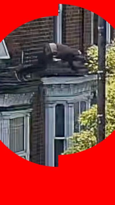 A man in blue trousers and a brown top jumps from a first floor window to land in a tree.