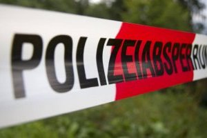 Ще в одній землі ФРН знайшли вибухівку для атак на електромережі, підозрюють кліматичного активіста