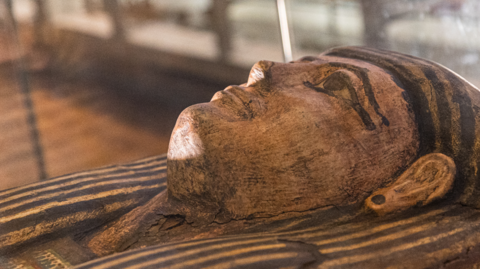 The funerary mask of an ancient Egyptian wooden coffin as seen through a glass case in a museum display 