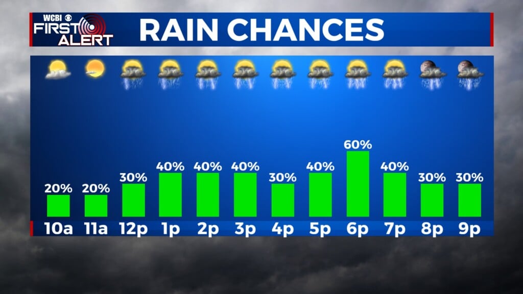 rainy conditions all day meteogram