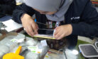 Malaysia&rsquo;s Tech Talent Shortage