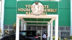 Yobe Assembly approves second reading of Biomedical Engineering Institute Bill