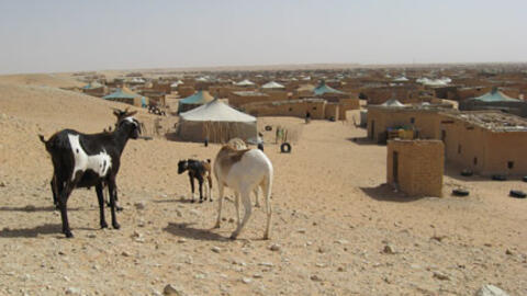 Camp de réfugiés sahraouis de Smara à l'extrême-sud ouest de l'Algérie.