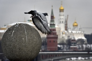 У Кремлі не сказали, чи припинить Росія атаки на енергетику України в разі зупинки ударів по НПЗ