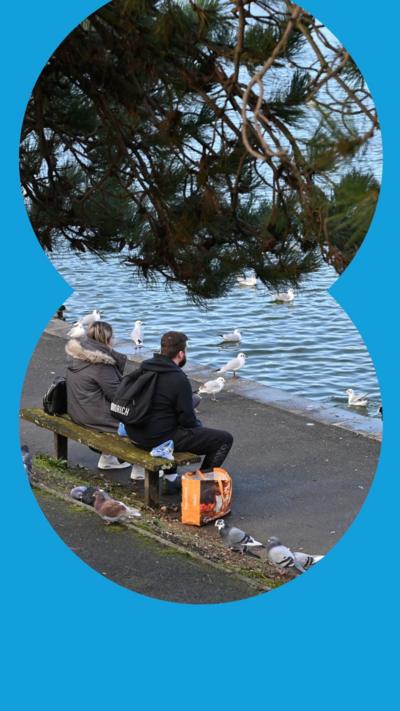 A woman and man sit on park bench next to a lake, surrounded by pigeons and gulls. Branches are visible over their heads.