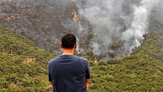 Algeria moves to restore death penalty for deliberate forest fires