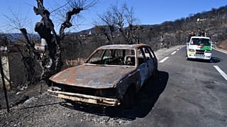 Amnesty calls on Algeria to abandon death penalty plans for wildfires