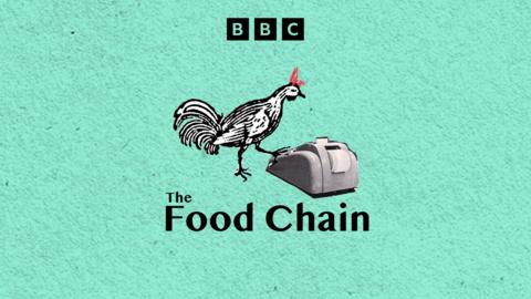 The Food Chain
