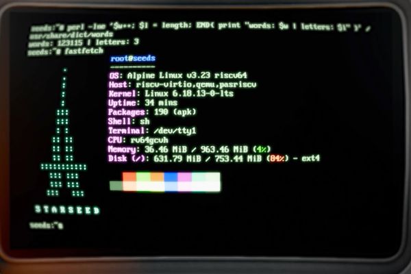 Inside PasRISCV: The RISC-V Emulator Powering SEEDS' In-Game Linux