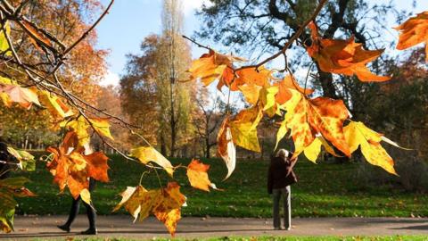 Autumn leaves in the foreground, with two people standing on a path behind