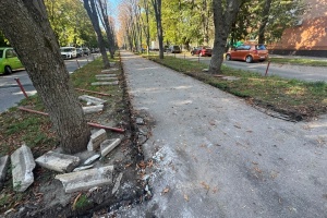У Кропивницькому розпочали роботи з облаштування Алеї Слави