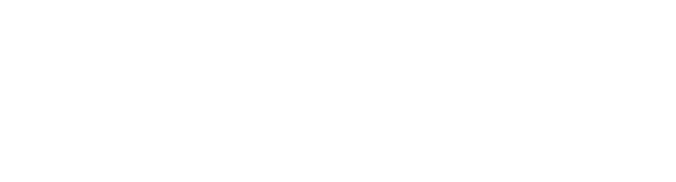 College of Charleston