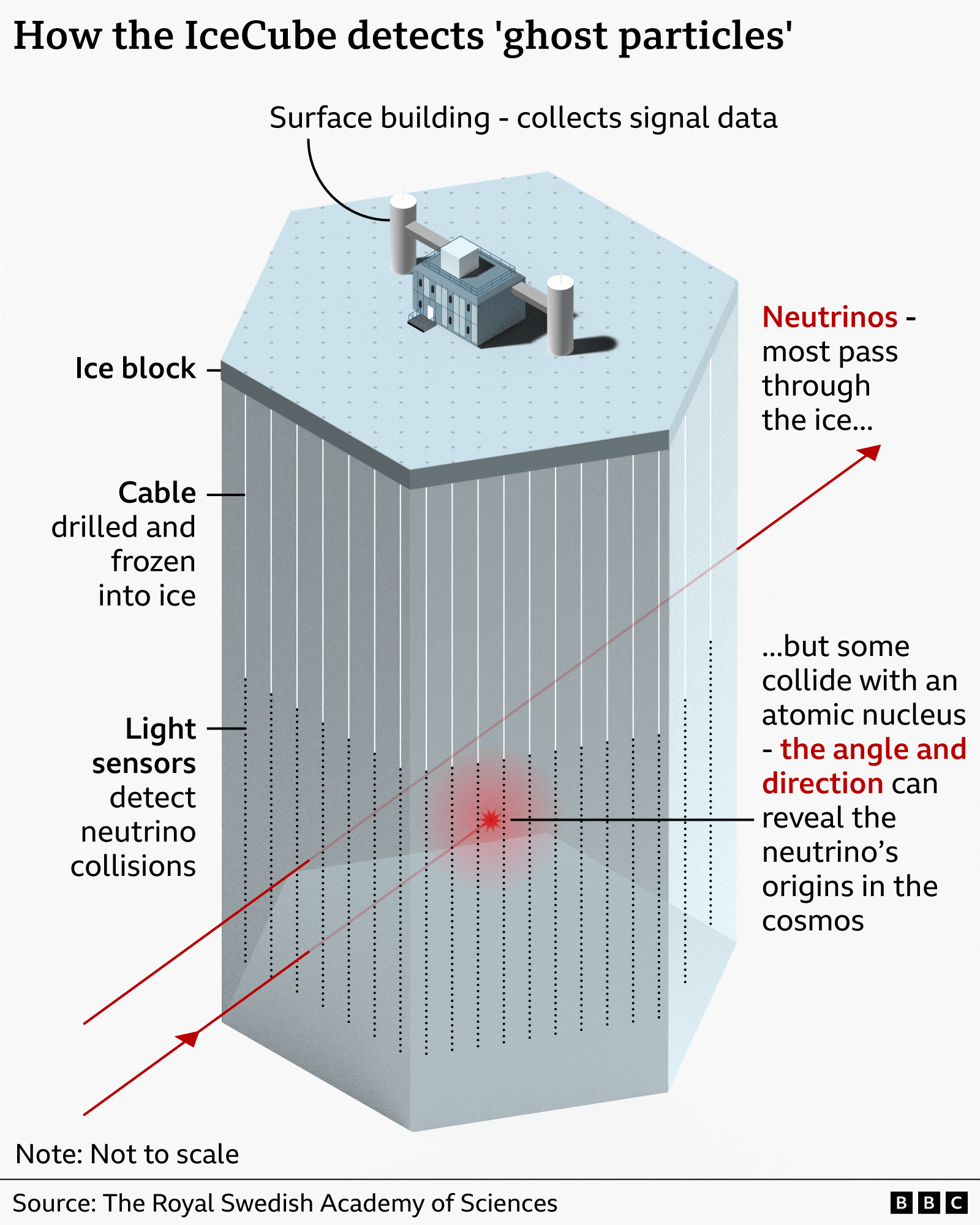 Diagram showing how the IceCube observatory detects neutrinos. Cables containing rows of light sensors extend deep into a large block of ice beneath a surface building. Red diagonal arrows show neutrinos passing through the ice, with one collision highlighted. Most neutrinos pass straight through, but sensors can detect light from rare collisions with atomic nuclei; the angle and direction of these events can help trace a neutrino’s origin in the cosmos.