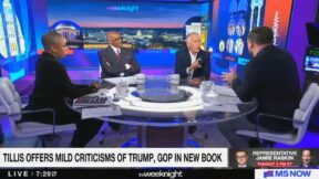 Thom Tillis on MS NOW's The Weekend