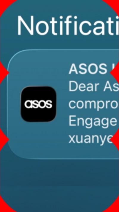 Smartphone screenshot of the notification hackers sent to customers.