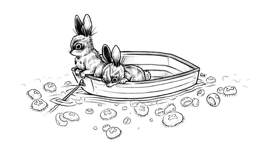 two wild rabbits, dander and freckle, in a dinghy on the water that seems to be at anchor, they are looking down into the water at an dense amassement of moon jellyfish