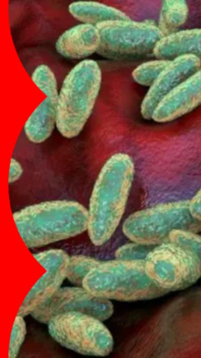 A computer-generated image of green cells on a red background.