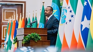 Tigray violence drives risk of Ethiopia-Eritrea war, analyst says