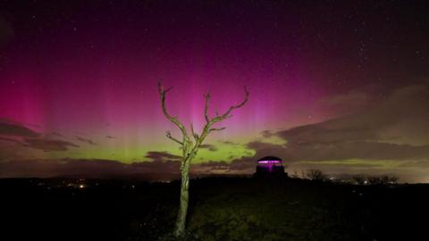 An image of the sky in Kendal, Cumbria, on 10 October during the evening. The Northern Lights can be seen in a pink and green hue alongside a bare tree trunk and branches in the foreground of the image.