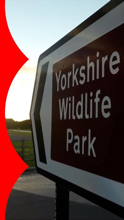 A directional sign stating: 'Yorkshire Wildlife Park'