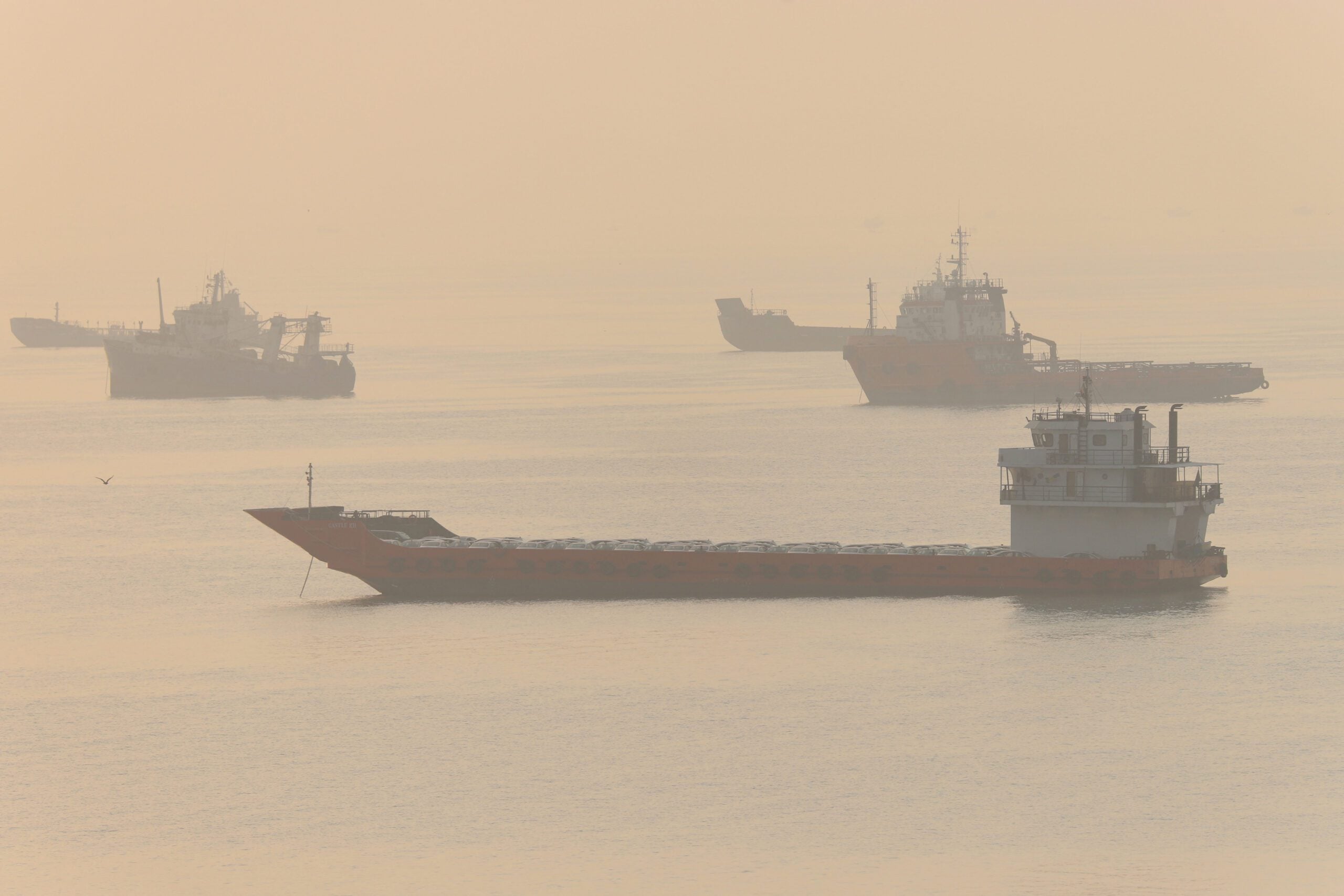 Vessels in the Strait of Hormuz near the beach of Bandar Abbas