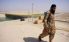 The Lessons the Taliban Have Learned