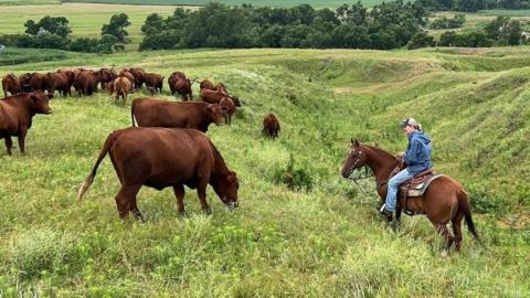 Yvette Mannon rides her horse on her ranch amidst her cattle grazing