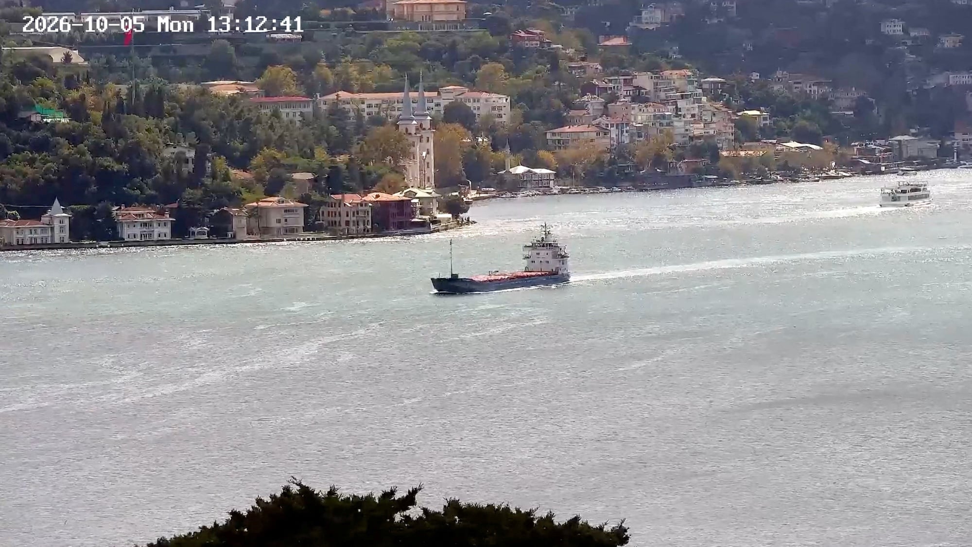 General cargo vessel ALFA WATAN, one of the two vessels attacked in drone strikes in the Black Sea off NATO member Bulgaria