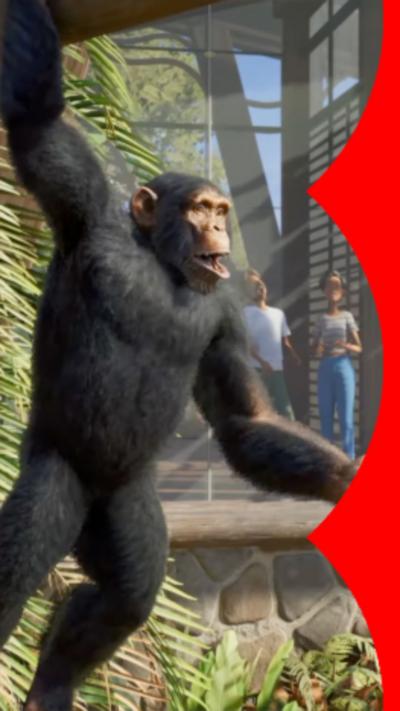 A ape swinging from a branch with it's right arm. 