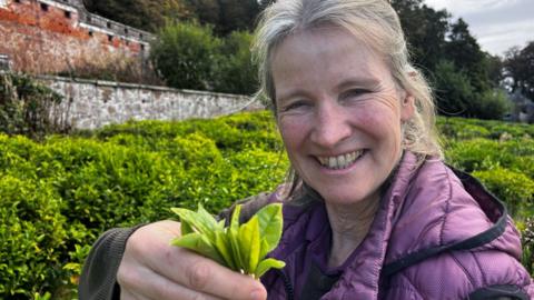 A woman with blonde hair and a blue quilted jacket holds tea leaves while standing in front of a garden of tea bushes.