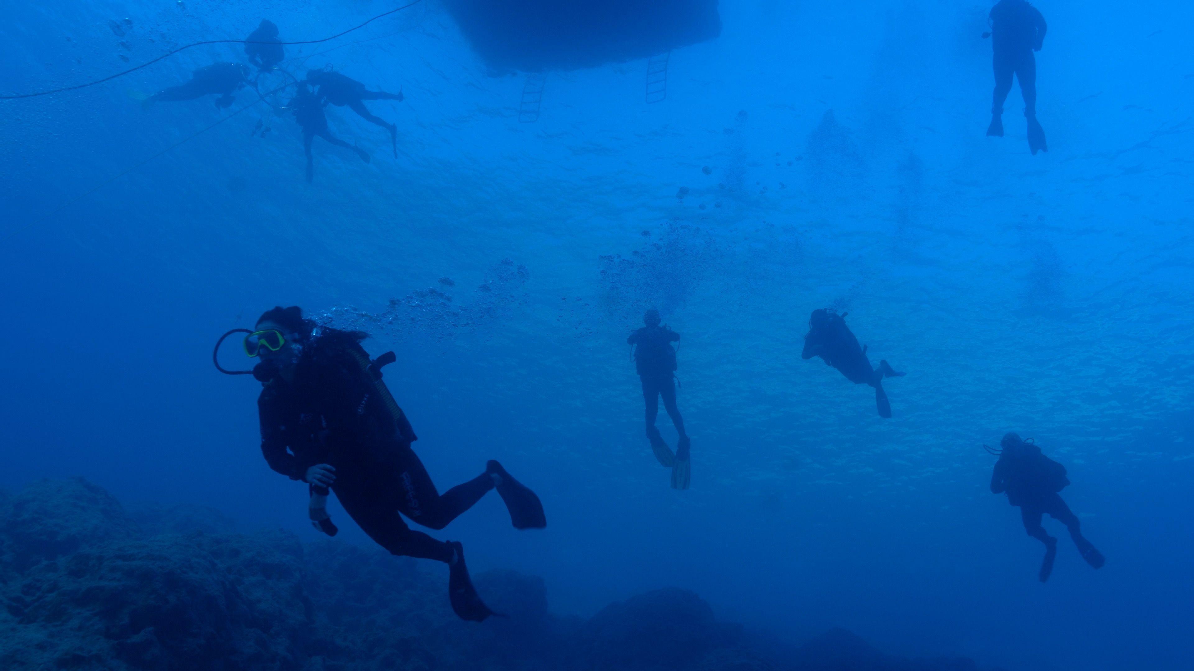 The picture is taken underwater and is very blue. It shows five divers starting to swim down to the wreck. Some are closer to the camera than others. One, on the left of the photo, is quite close to the camera and you can see the trail of bubbles going up to the surface from his air tank. The shadow of the end of the dive boat can be seen in the centre and at the very top of the photo. To the left are a group of 4 divers who are on their way back up to the surface from the wreck. They are holding onto a ring as they wait at this depth for a specific period of time, breathing pure oxygen, to make sure they do not get sick with the bends when they come out of the water.  