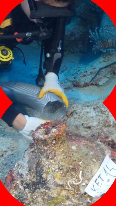 A diver is underwater. They are at the bottom of the seabed holding a pipe and examining the wreckage left behind by the ship.