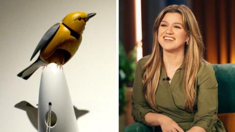 A composite image of a mechanical bird from the Brooklyn store Art of Play and Kelly Clarkson.