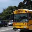 Block 14 neuron 203, positive rank 1: school bus (+6.75) Block 14 neuron 203, positive rank 1: school bus (+6.75)