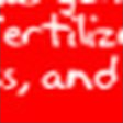 Rank 5 of 50,000 · activation 4.484 Red, natural image crop, rank 5