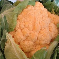 cauliflower; negative rank 1; activation −256